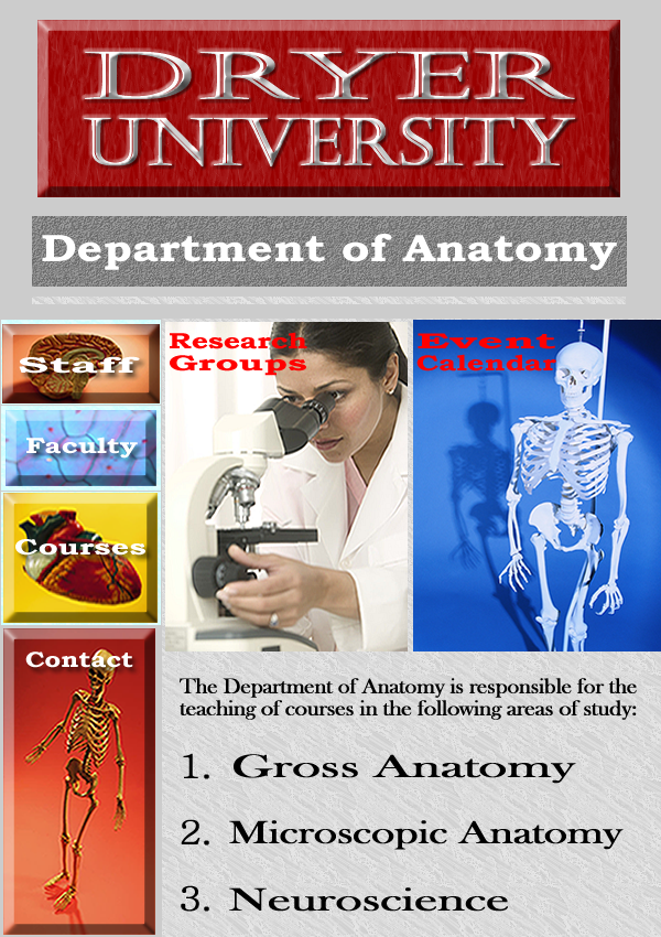 anatomy page