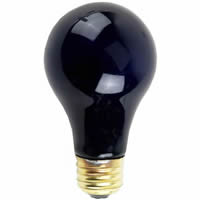 blacklight bulb